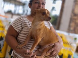 Adopción de Mascotas en Juárez: Donación y Esterilizaciones